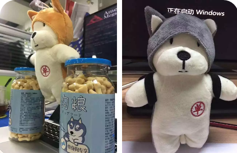香港全年最全免费资料