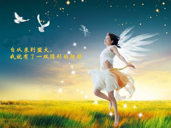 香港全年最全免费资料