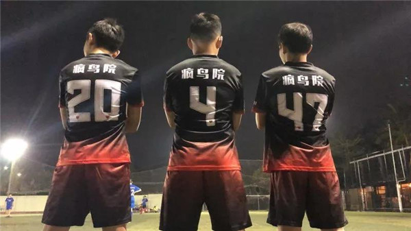 香港全年最全免费资料
