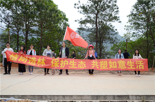 香港全年最全免费资料