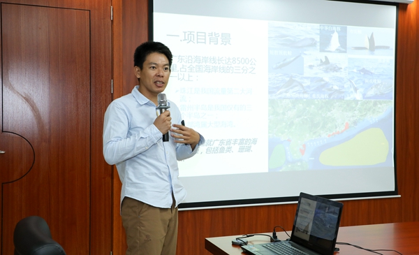 香港全年最全免费资料