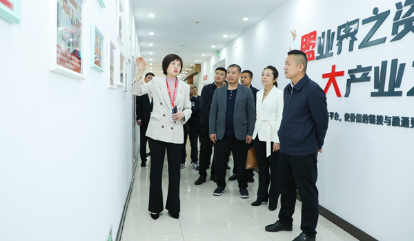香港全年最全免费资料