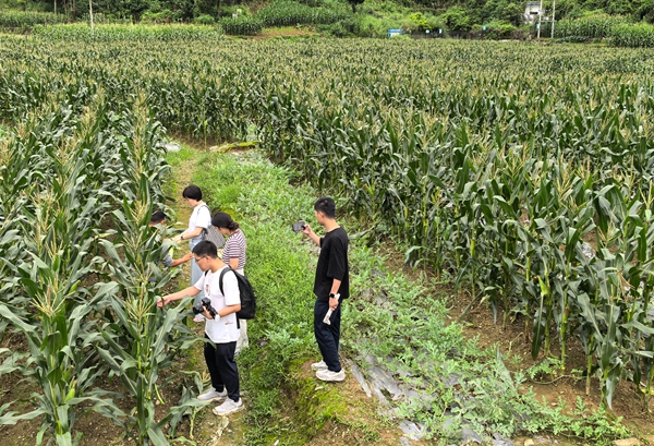 香港全年最全免费资料