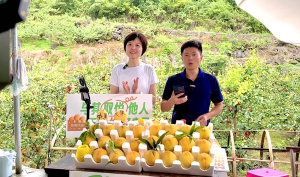 香港全年最全免费资料