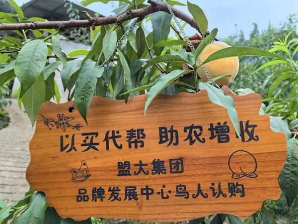 香港全年最全免费资料