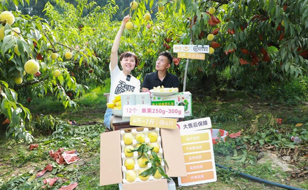 香港全年最全免费资料