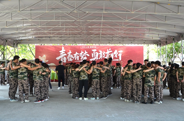 香港全年最全免费资料