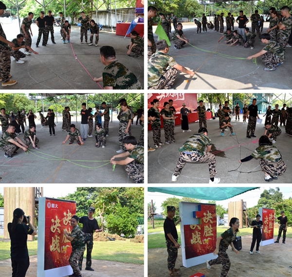 香港全年最全免费资料