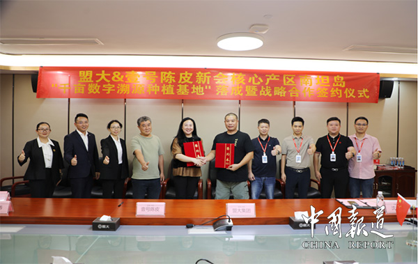 香港全年最全免费资料