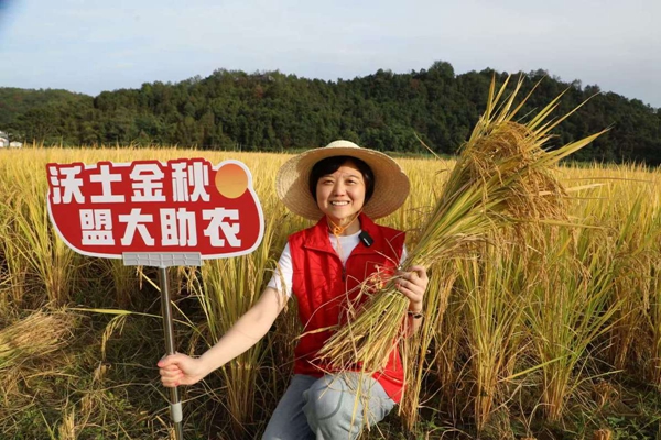 香港全年最全免费资料