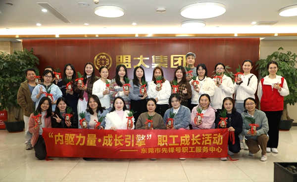 香港全年最全免费资料