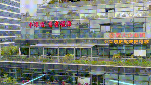 香港全年最全免费资料