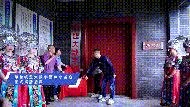 香港全年最全免费资料