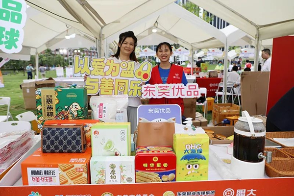 香港全年最全免费资料