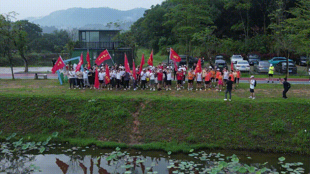 香港全年最全免费资料