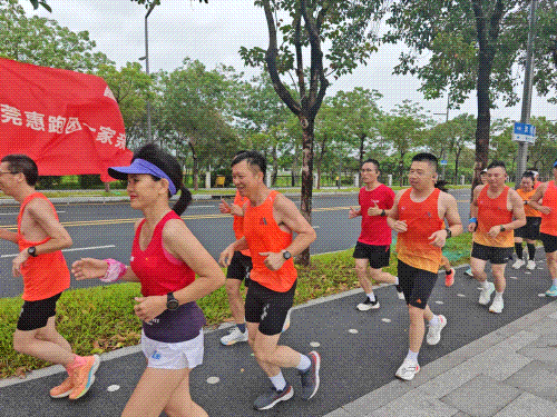 香港全年最全免费资料