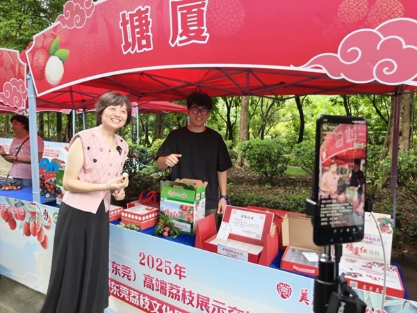 香港全年最全免费资料