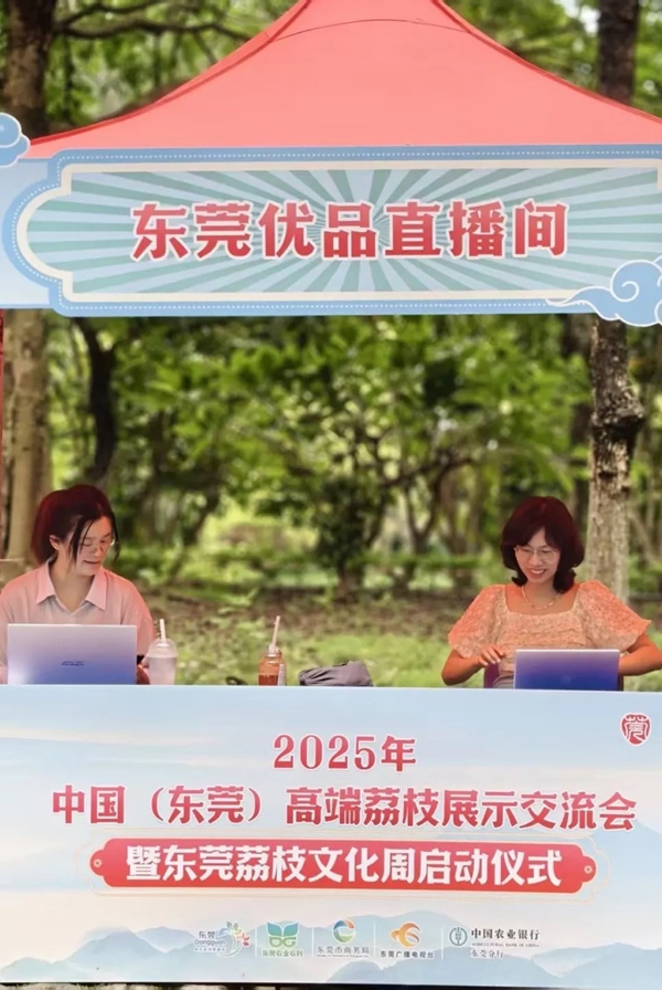 香港全年最全免费资料